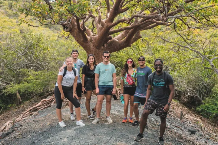 Seven people standing together under a large spreading divi-divi tree on a gravel track in the hills